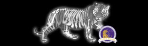 tiger bones dinner event